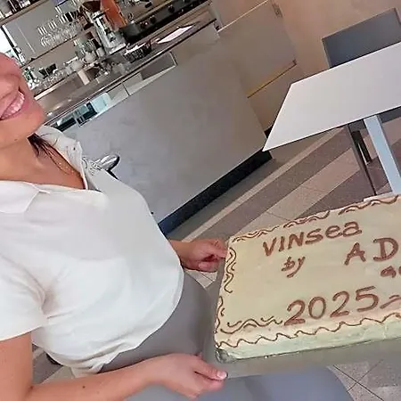 Vinsea 2*
